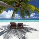 two beach chairs