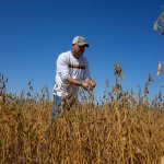 Soybean farmer