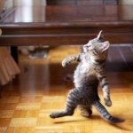 day4: first template i see meme | WHEN YOU SLOWLY CATCH UP; TO THAT SPORTSCAR AT THE LIGHT | image tagged in memes,cool cat stroll | made w/ Imgflip meme maker