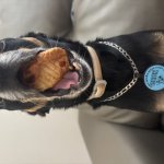 Chok and his pão de queijo