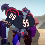 Bears Shadow Striker