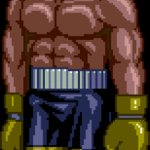 Nick Bruiser standing template