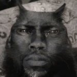 kevin hart cat