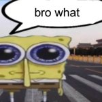 bro what