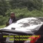 why are you running bella GIF Template