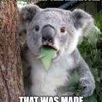 Surprised Koala Meme | MY GIRLFRIEND WHEN I ACCIDENTALLY TELL HER A JOKE; THAT WAS MADE FOR THE BOYS | image tagged in memes,surprised koala | made w/ Imgflip meme maker