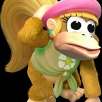 Disgusted Dixie