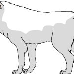 Male Arctic Dire Wolf (Paleoverse + EOIverse)
