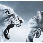 Thinking Monkey and Rage Baited Lion