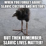 Pukeko chick | WHEN YOU FORGET ABOUT SLAVIC CULTURE AND HISTORY; BUT THEN REMEMBER: SLAVIC LIVES MATTER! | image tagged in pukeko chick,slavic lives matter | made w/ Imgflip meme maker