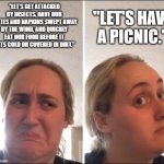 Kombucha Girl | "LET'S GET ATTACKED BY INSECTS, HAVE OUR PLATES AND NAPKINS SWEPT AWAY BY THE WIND, AND QUICKLY EAT OUR FOOD BEFORE IT GETS COLD OR COVERED IN DIRT."; "LET'S HAVE A PICNIC." | image tagged in kombucha girl,picnic | made w/ Imgflip meme maker