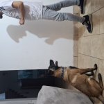 Tu me miras y yo  te miro .