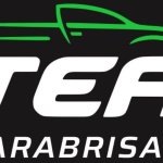 LOGO TEA PARABRISAS