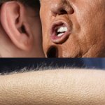 Trump Whisper Goosebumps template