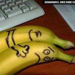 Bananas Spooning