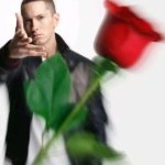 eminem throwing rose