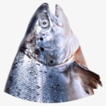 Fish head