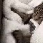 Kkkkkkkkkk GIF Template