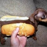 Hot dog