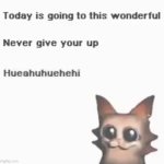 today is going to this wonderful