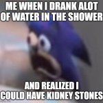Would You Rather Have Gallstones Or Kidney Stones | ME WHEN I DRANK ALOT OF WATER IN THE SHOWER; AND REALIZED I COULD HAVE KIDNEY STONES | image tagged in traumatised sonic | made w/ Imgflip meme maker