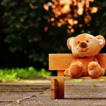 teddy bear on bench