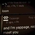 loon meme