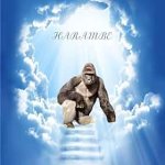 HarambeHeaven