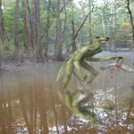 The mantis man