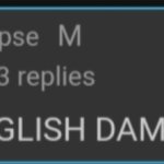 SPEAK ENGLISH DAMNIT