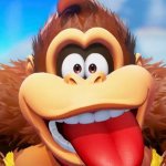 silly dk