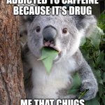 Surprised Koala Meme | PEOPLE CAN GET ADDICTED TO CAFFEINE BECAUSE IT'S DRUG; ME THAT CHUGS ENERGY DRINKS: | image tagged in memes,surprised koala | made w/ Imgflip meme maker