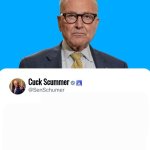 Chuck Schumer template