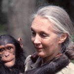 Jane Goodall with chimpanzee meme