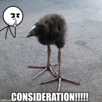 Ation bird consideration | CONSIDERATION!!!!! | image tagged in tion bird | made w/ Imgflip meme maker