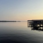 The Calm