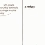 hi X um. youre such a scrunkly scrimblo meme