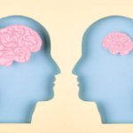 brain