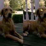 Once Spooky Season Starts