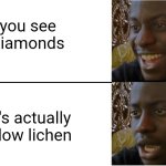 why | you see diamonds; it's actually glow lichen | image tagged in disappointed black guy,minecraft,why | made w/ Imgflip meme maker