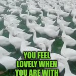 You feel good when you are with like minded folk | YOU FEEL LOVELY WHEN YOU ARE WITH LIKE MINDED FOLK | image tagged in gifs,duck,accepted,autism | made w/ Imgflip video-to-gif maker