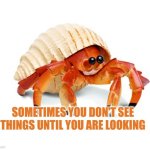 Sometimes you don't see things until you are looking | SOMETIMES YOU DON'T SEE THINGS UNTIL YOU ARE LOOKING | image tagged in crab,autism,looking | made w/ Imgflip meme maker