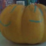 The Willam Have Been never Seen