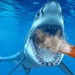 badass shark smoking a cinnamon roll