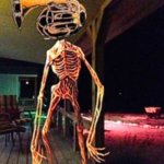 Megatrumpet | image tagged in megatrumpet | made w/ Imgflip meme maker