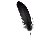 Feather png