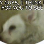 is he cute? | HEY GUYS, I THINK IT  IS TIME FOR YOU TO SEE MY DOG | image tagged in my dog max | made w/ Imgflip meme maker