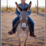 Hakeem Jeffries riding Donkey