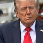 trump enjoys a stroke