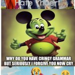 Me Ruining A Fill In Meme #312 | WHY DO YOU HAVE CRINGY GRAMMAR BUT SERIOUSLY I FORGIVE YOU NOW CRY | image tagged in ruin this fill in meme 312 | made w/ Imgflip meme maker